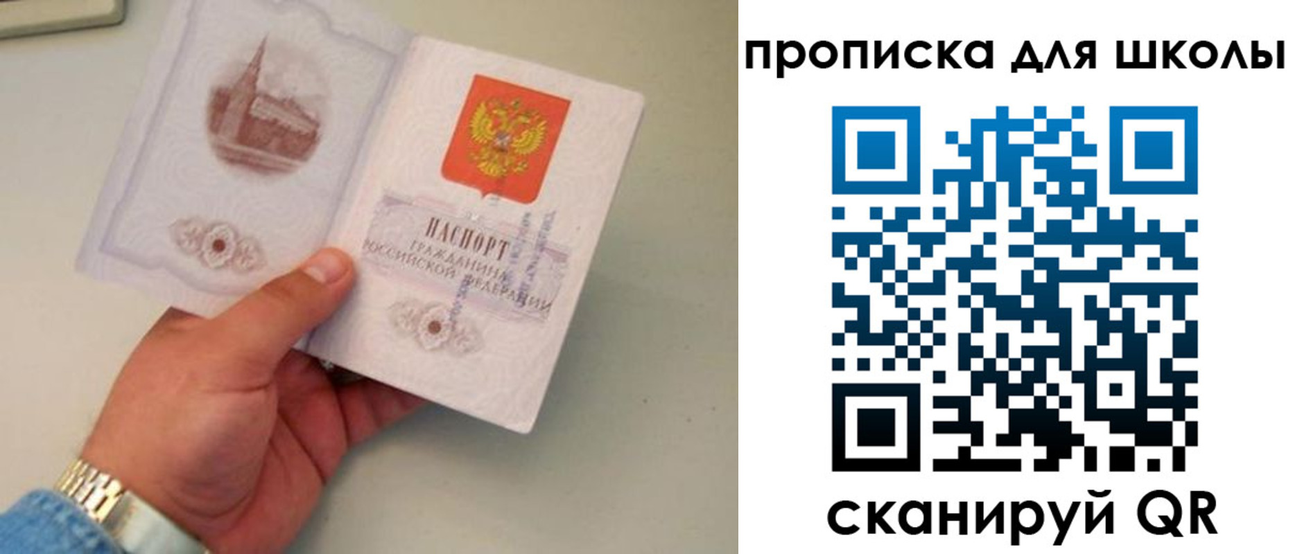 временная регистрация поиск в Острове